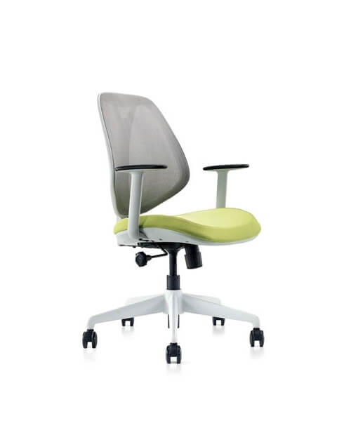 Moira Multi-Task Modern Office Chair