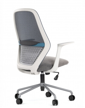 Time White Frame with Blue Trim Minimalist Task Chair