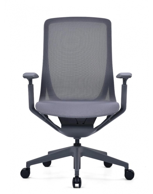 Aero Ergonomic Executive Chair