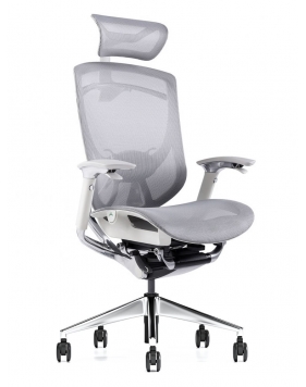 iFit Super Ergonomic with Paddle Shift Control Executive Office Chair
