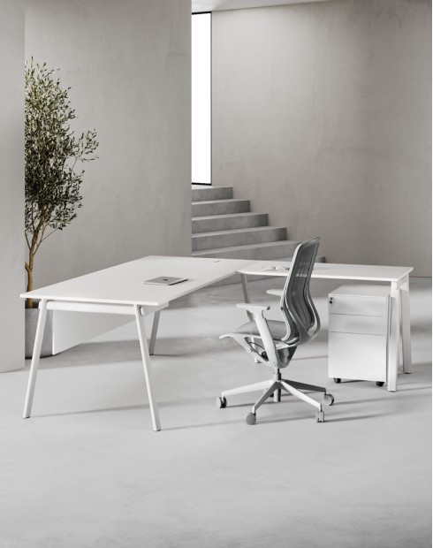 white white white white