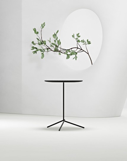 Knot Minimalist Coffee Table