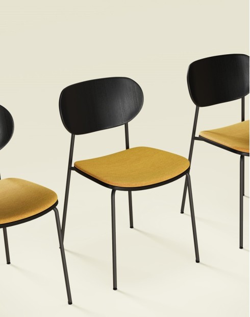 Maple Wood Veneer Multi-Purpose Chair Maple Wood Veneer Multi-Purpose Chair