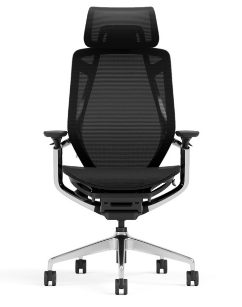 Endurance Black Super Ergonomic Mesh Chair
