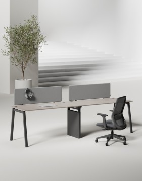 black ash grey oak