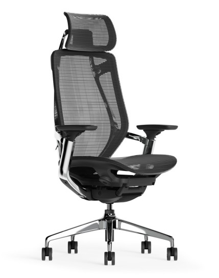 Endurance Black Super Ergonomic Mesh Chair