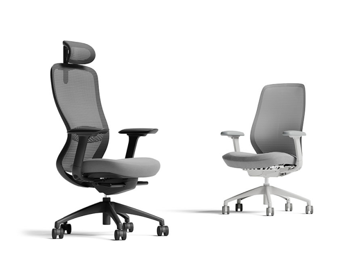 VX1 and AX Ergonomic Chair
